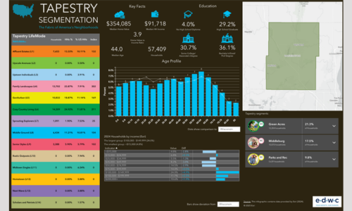 Workforce/Demographic Analytics Workforce/Demographic Analytics